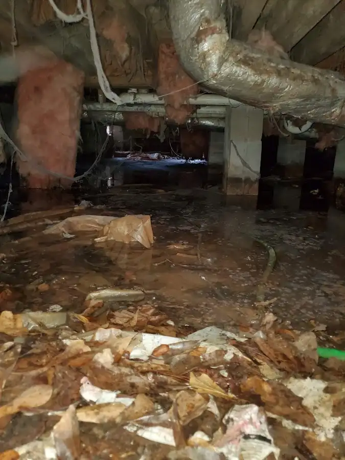Crawl space flood assessment for Leak Detection & Repair in Lake Park