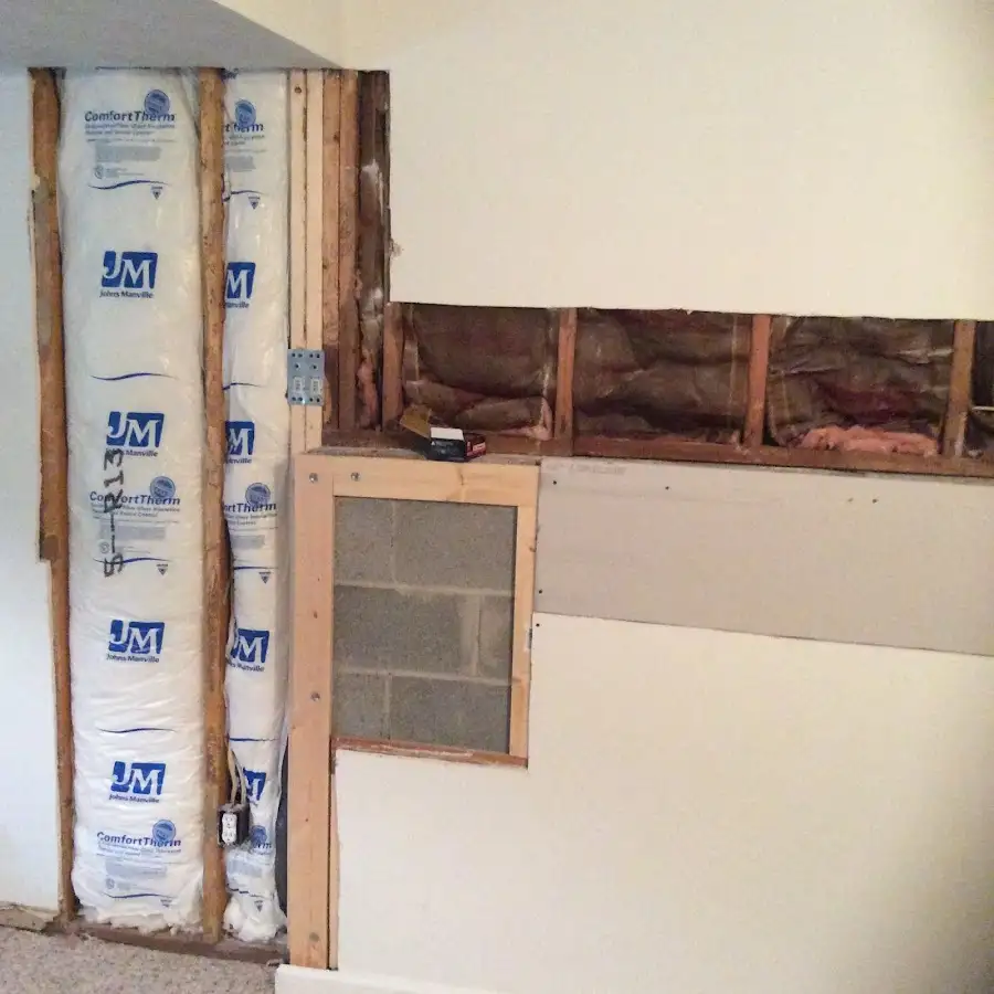 Wall insulation replacement during Odor Removal & Deodorization in Lake Park